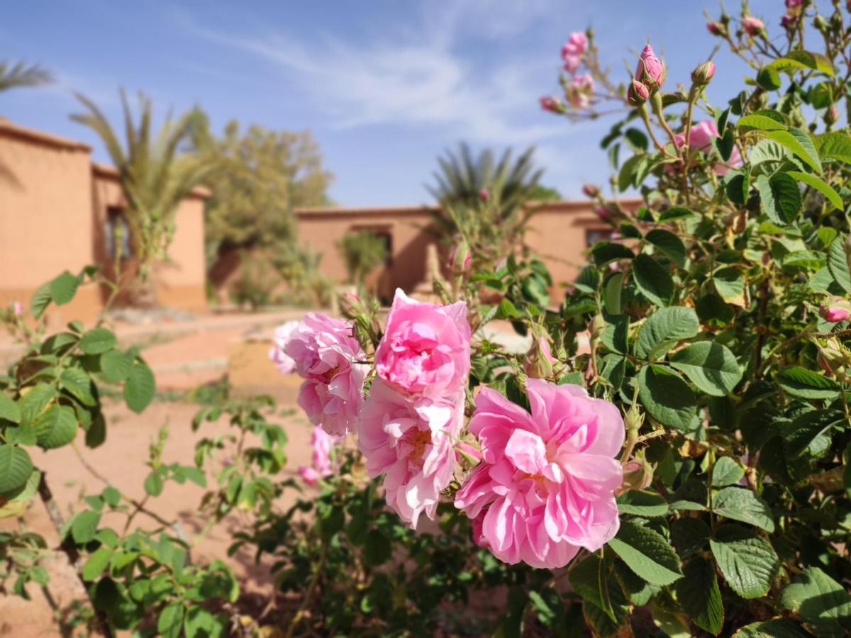 Maison d'hôtes Tigminou Ait Benhaddou Exterior foto