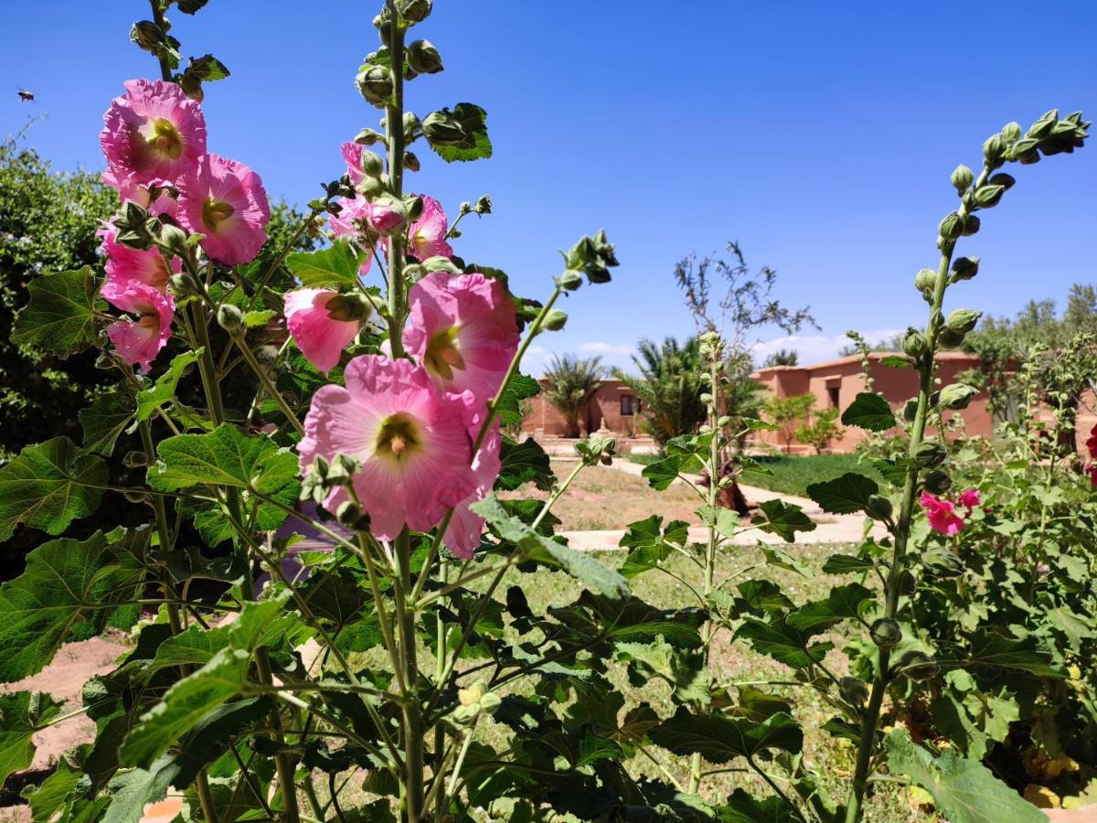 Maison d'hôtes Tigminou Ait Benhaddou Exterior foto